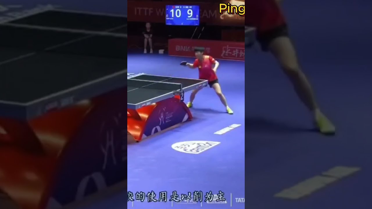 与米尼奥莱
